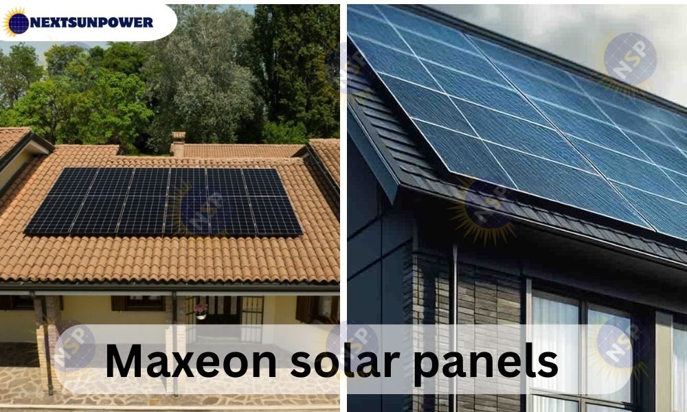 maxeon solar panels