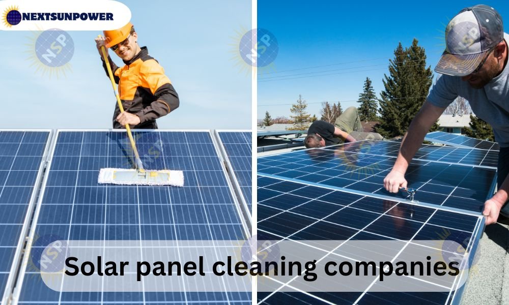 solar panel cleaning companies